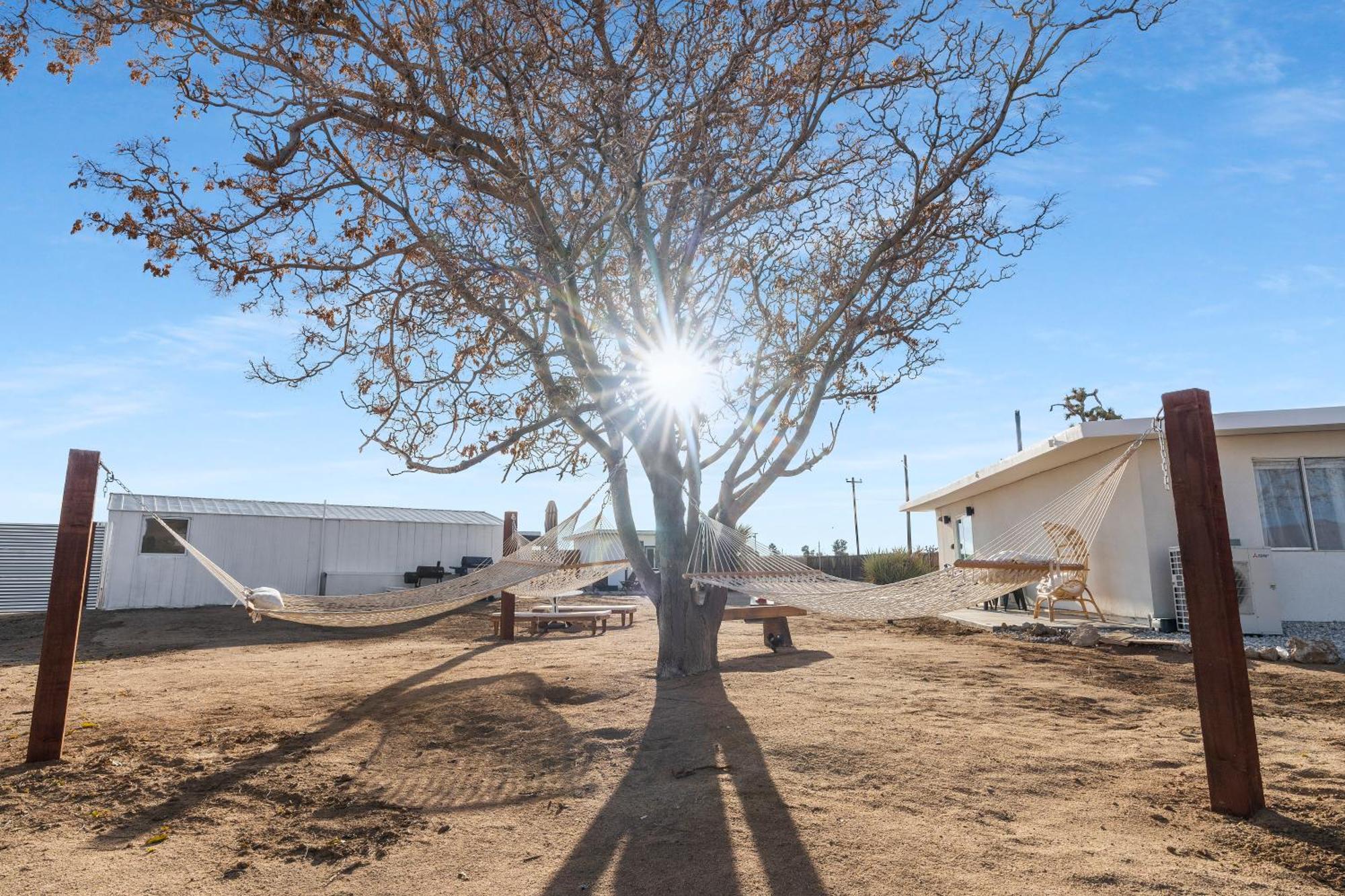 Private Jt Cabin - Ev L2 Station, Hammocks, Fire Pit, Bbq, Bocce Ball, Cornhole Yucca Valley Eksteriør billede